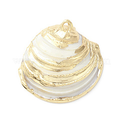 Natural Sea Shell Pendants&nbsp;SHEL-F005-06LG