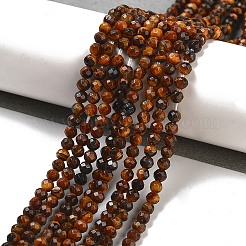 Natural Tiger Eye Bead Strands&nbsp;G-R344-3mm-44