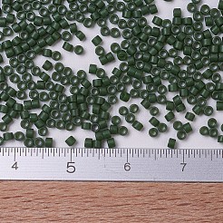 MIYUKI Delica Beads&nbsp;SEED-MY11-DB0797