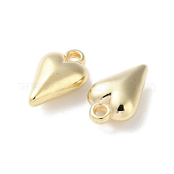 CCB Plastic Pendants&nbsp;CCB-C001-04G