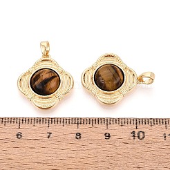 Natural Tiger Eye Pendants&nbsp;KK-N287-05G-02