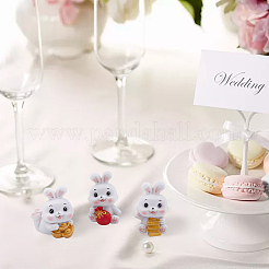 3Pcs 3 Style Resin Display Decoration&nbsp;DJEW-DC0001-01