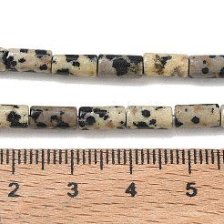 天然石ダルメシアンジャスパービーズ連売り  コラム  8x4mm  穴：1mm  約49個/連  15.35''（39センチメートル）&nbsp;G-B091-A19-01