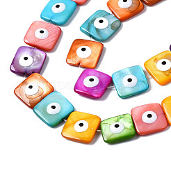 Natural Freshwater Shell Beads Strands&nbsp;SHEL-S278-014