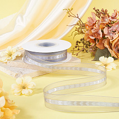 Polyester Lace Ribbon&nbsp;OCOR-TADJ0001-07I