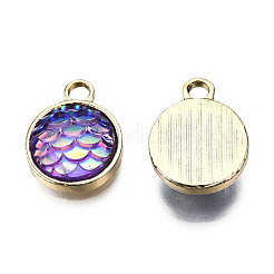 Alloy Resin Charms&nbsp;PALLOY-T056-24C