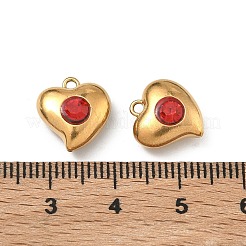 304 Stainless Steel Pendants&nbsp;STAS-F351-04G