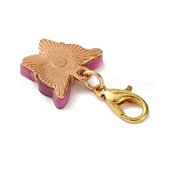 Acrylic Butterfly Pendant Decorations&nbsp;HJEW-JM04068