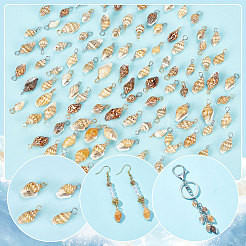 天然シェルペンダント100個2色  シェルチャーム  銅線と  ミックスカラー  18~23x7~10x6~7.5mm  穴：3.7mm  50個/カラー&nbsp;FIND-PH0008-09