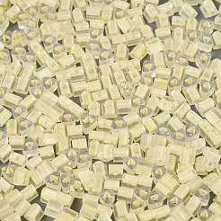 FGB Grade A Frosted Glass Seed Beads&nbsp;SEED-Q040-04A-10