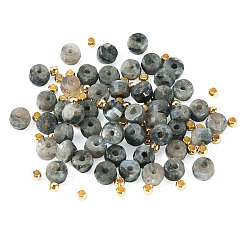 50Pcs Natural Larvikite Beads&nbsp;G-TAD0001-13
