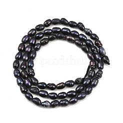 天然養殖淡水パールビーズ連売り  米のビーズ  染め  プルシアンブルー  5~5.5x3~3.5mm  穴：0.5mm  約70個/連  14.33''（36.4センチメートル）&nbsp;PEAR-XCP0001-19