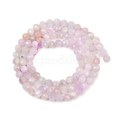 Natural Kunzite Beads Strands&nbsp;G-P612-C-4mm-01
