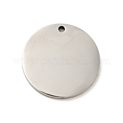 Non-Tarnish 201 Stainless Steel Pendants&nbsp;STAS-J041-04B
