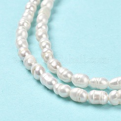 Natural Cultured Freshwater Pearl Beads Strands&nbsp;PEAR-E016-146