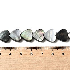 Natural Black Lip Shell Beads Strands&nbsp;BSHE-D300-06A