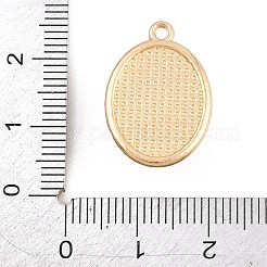 Alloy Enamel Pendants&nbsp;AL-CBAD5CF-02G-C