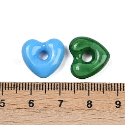 Handmade Lampwork Beads&nbsp;LAMP-S069-04