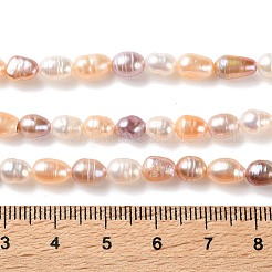 Natural Cultured Freshwater Pearl Beads Strands&nbsp;PA-CBABE82-01A