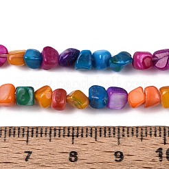 Natural Freshwater Shell Beads Strands&nbsp;SHEL-N037-04B