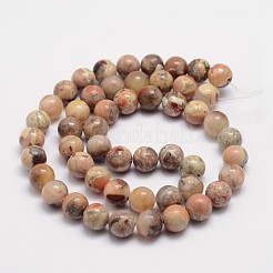 Round Natural Red Rainbow Jasper Bead Strands&nbsp;X-G-L419-14