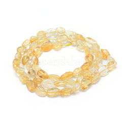 Natural Citrine Beads Strands&nbsp;X-G-P331-03A