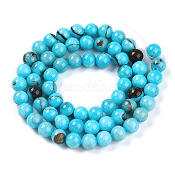 Natural Persian Jade Beads Strands&nbsp;G-A255-A02-01H