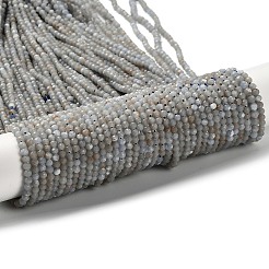 Natural Angelite Beads Strands&nbsp;LS-G-RM2025-16-3mm