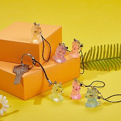 Resin Mobile Straps&nbsp;HJEW-SW00081