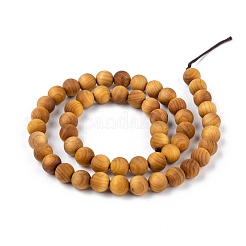 天然木ビーズ連  ラウンド  8~8.5mm  穴：1.5mm  約50個/連  15.5インチ（39.5cm）&nbsp;WOOD-F006-01-8mm