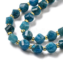 Natural Apatite Beads Strands&nbsp;G-M443-B06-02