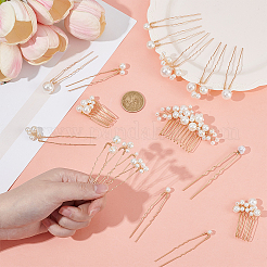 6Pcs Iron Resin Hair Cormbs & 12Pcs Iron Resin Hair Forks for Women&nbsp;PHAR-OC0001-05