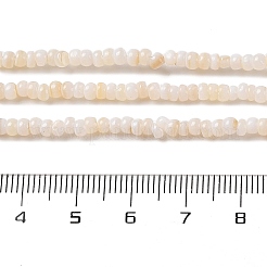 Natural Freshwater Shell Beads Strands&nbsp;X-SHEL-P017-01B-02