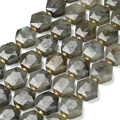 Natural Gray Labradorite Beads Strands&nbsp;G-L660-A02-01