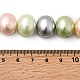 シェルパールビーズ連売り  ポテト  ミックスカラー  12.5~13x15~15.5x12~12.5mm  穴：0.9mm  約31個/連  15.71インチ（39.9cm）&nbsp;BSHE-F013-01H-4