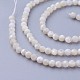 シェルビーズ連売り  多面カット  ラウンド  3~3.5mm  穴：0.5mm  約115~130個/連  14.5~16.1インチ（37~41cm）&nbsp;G-F619-27-3mm-3