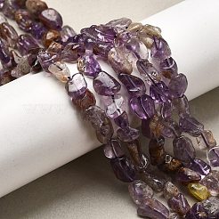 Natural Purple Phantom Quartz Purple Lodolite Quartz Beads Strands&nbsp;G-E483-69