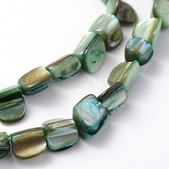Irregular Natural Sea Shell Beads Strands&nbsp;SSHEL-X0001