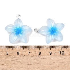透明樹脂ペンダント  プルメリア  鉄のループとグリッターパウダー付き  ミックスカラー  27.5x24.5x6mm  穴：2mm&nbsp;RESI-P048-01P