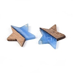 Resin & Walnut Wood Pendants&nbsp;RESI-T057-37C