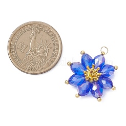 Glass Pendantns&nbsp;PALLOY-MZ01143