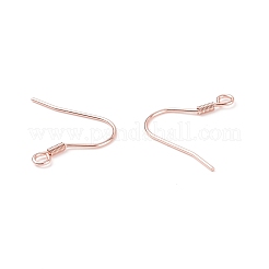304 Stainless Steel Earring Hooks&nbsp;X-STAS-P221-04RG