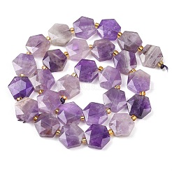 Natural Amethyst Beads Strands&nbsp;G-G144-A07-01