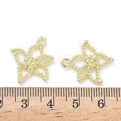 Alloy Pendants&nbsp;FIND-Z108-05LG