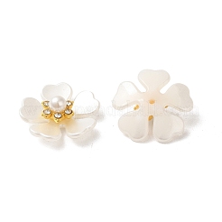 Plastic Cabochons&nbsp;FIND-K016-02A