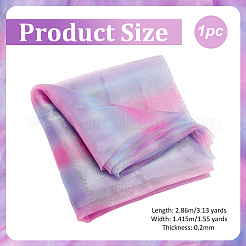 Polyester Mesh Fabric&nbsp;DIY-WH0698-012A