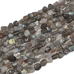 天然石ラブラドライトビーズ連売り  ナゲット  タンブルストーン  8~13x8~10x3~8mm  穴：1mm  約49~50個/連  15.55~15.75''（39.5~40センチメートル）&nbsp;G-Q060-E20-01