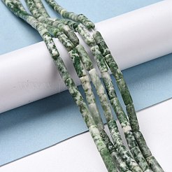 Natural Green Spot Jasper Beads Strands&nbsp;G-D464-14