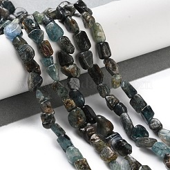 Natural Green Kyanite Beads Strands&nbsp;G-P497-01C-56