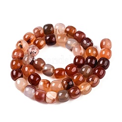 天然石赤瑪瑙ビーズ連売り  バレル  10~10.5x9~9.5mm  穴：1.2mm  約41~43個/連  14.37~16''（36.5~40センチメートル）&nbsp;G-T138-145